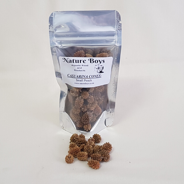 Nature Boys Casuarina Cones