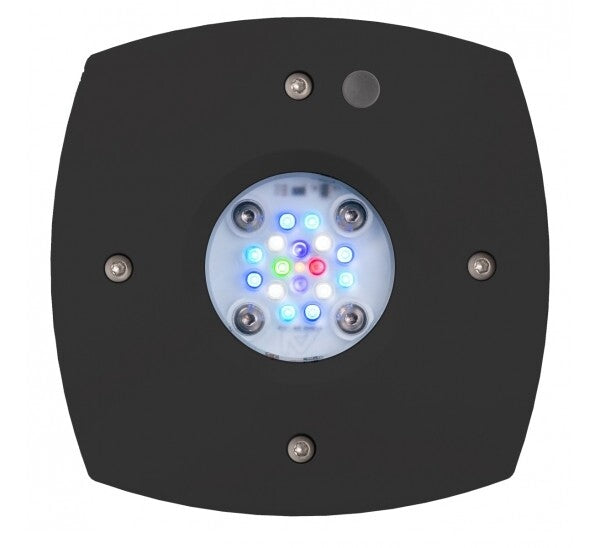AI Prime 16 HD LED Reef Light - Black – Dorry Pets