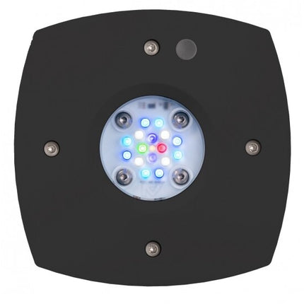 AI Prime 16 HD LED Reef Light - Black
