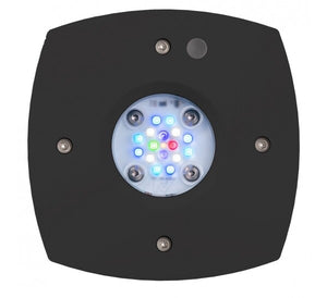 AI Prime 16 HD LED Reef Light - Black