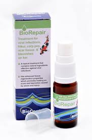 BIO REPAIR