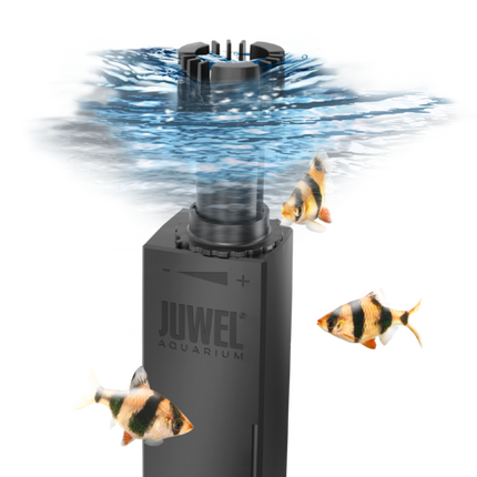 Juwel Eccoskim