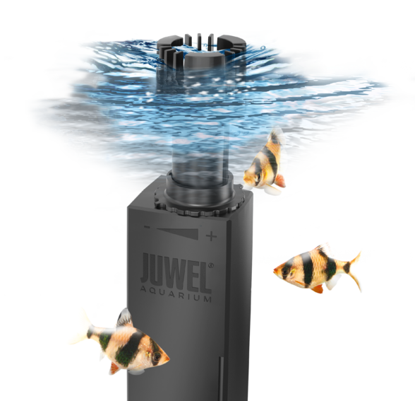 Juwel Eccoskim