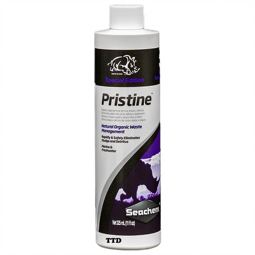 Pristine - Dorry Pets
