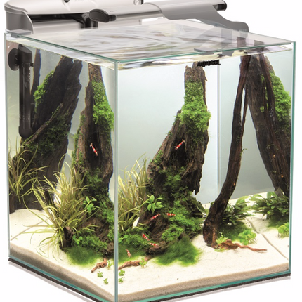 Aquael Fish & Shrimpset Duo
