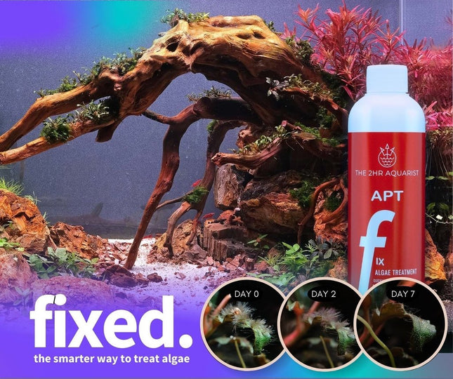 APT FIX