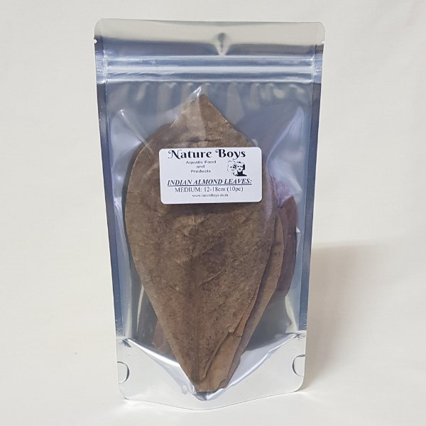 Nature Boys Indian Almond Leaves