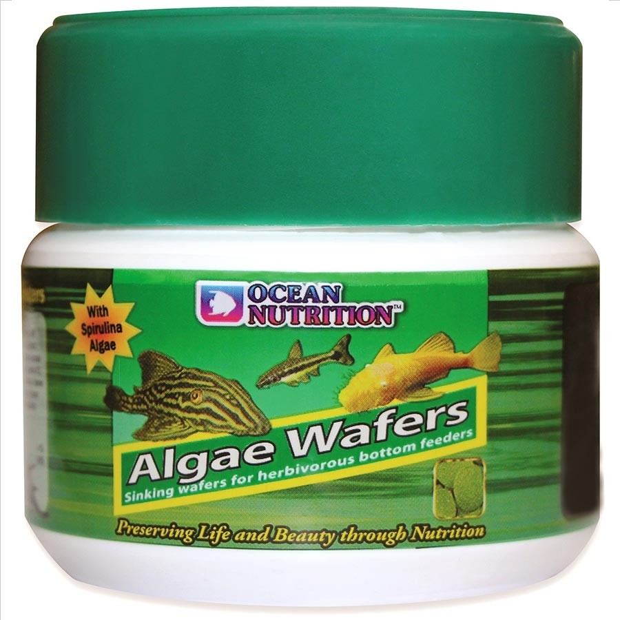 Algae Wafers