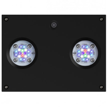 AI Hydra 32 HD LED Reef Light - Black