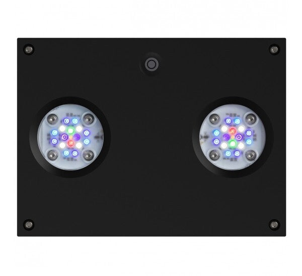 AI Hydra 32 HD LED Reef Light - Black - Dorry Pets